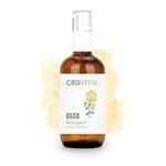 Die besten CBD Massageöle im Vergleich für effektive Physiotherapieanwendungen