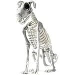 Die besten Physiotherapieprodukte für die Unterstützung des Skeletts - Eine umfassende Analyse und Vergleich
