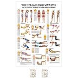 Die besten Physiotherapieprodukte für die Wirbelsäule: Eine detaillierte Analyse und Vergleich mit Beschriftung