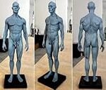 Die besten Physiotherapieprodukte zur Stärkung der Muskeln im Schädel: Eine umfassende Analyse und Vergleich