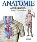 Der Einfluss des menschlichen Knochenbaus auf die Auswahl der besten Physiotherapieprodukte: Eine Analyse und Vergleich