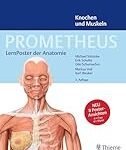 Die Bedeutung der menschlichen Anatomie: Analyse und Vergleich der besten Physiotherapieprodukte für starke und gesunde Knochen