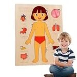 Der menschliche Körper im Fokus: Eine Analyse und Vergleich der besten Physiotherapieprodukte Der menschliche Körper im Fokus: Eine Analyse und Vergleich der besten Physiotherapieprodukte
