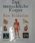 Der menschliche Körper: Aufbau und Analyse der besten Physiotherapieprodukte im Vergleich