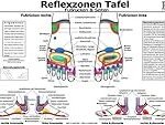 Die besten Physiotherapieprodukte für Fußreflexzonenmassage am Fußrücken im Vergleich