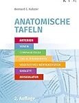 Die besten Physiotherapieprodukte zur Stärkung der Muskulatur beim Menschen: Eine umfassende Analyse und Vergleich