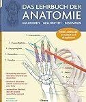 Die Bedeutung von Knochen im Latein und ihr Einfluss auf die Auswahl der besten Physiotherapieprodukte: Eine Analyse und Vergleich