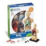 Anatomische Körper: Analyse und Vergleich der besten Physiotherapieprodukte für eine gezielte Therapie