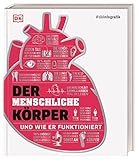 Anatomie des menschlichen Körpers: Eine detaillierte Analyse und Vergleich der besten Physiotherapieprodukte